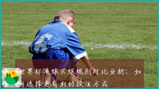 世界杯滚球买球规则对比分析：如何选择更有利的投注方式