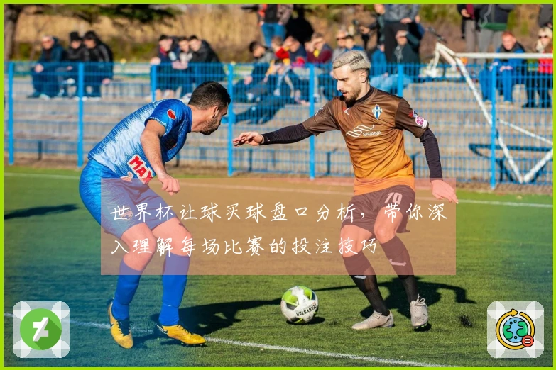 世界杯让球买球盘口分析，带你深入理解每场比赛的投注技巧