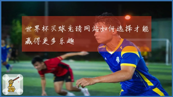 世界杯买球竞猜网站如何选择才能赢得更多乐趣