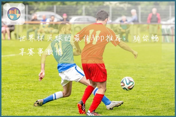 世界杯买球的最佳App推荐，助你畅享赛事激情